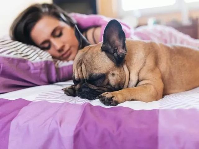 你以为狗狗和你睡觉只是因为冷吗？