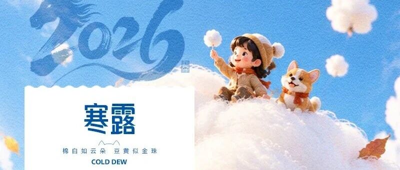 华兴宠物